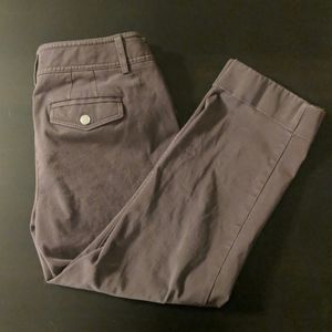 WHBM Dark Brown Slim Crop Pants Size 6